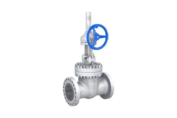 ANSI Standard gate valves (3) ANSI Standard gate valve