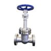 ANSI Standard gate valves (4) ANSI Standard gate valve