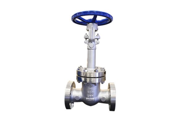 ANSI Standard gate valves (4) ANSI Standard gate valve