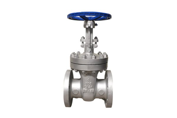 ANSI Standard gate valves (5) ANSI Standard gate valve