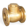 Brass Check Valves (2) Brass Check Valves