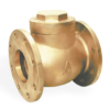 Brass Check Valves (6) Brass Check Valves