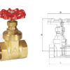 Brass Threaded Gate Valves (1)