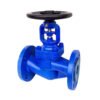 Cast Iron Globe Valves 1