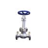Globe Valve 1 Globe Valve Stainless Steel