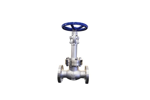 Globe Valve 1 Globe Valve Stainless Steel