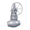 Globe Valve WC9 Globe Valve Stainless Steel