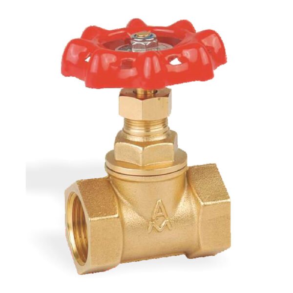 Brass Globe Valves 2