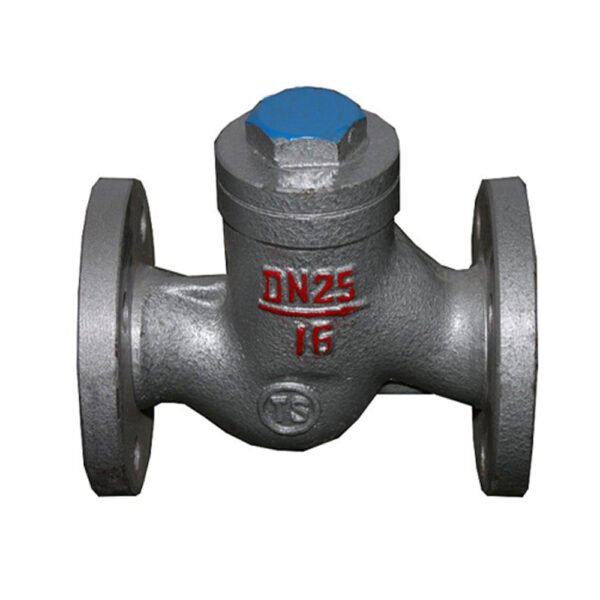 Lift Type Check Valve