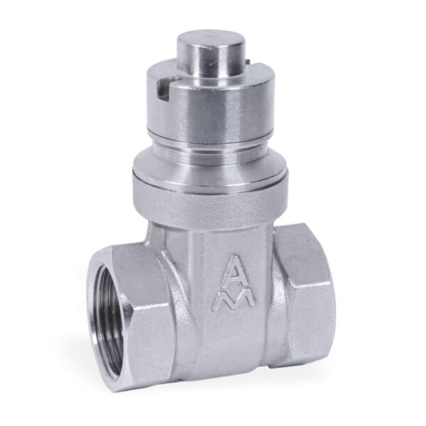 Stainless Steel Threaded Gate Valves 4