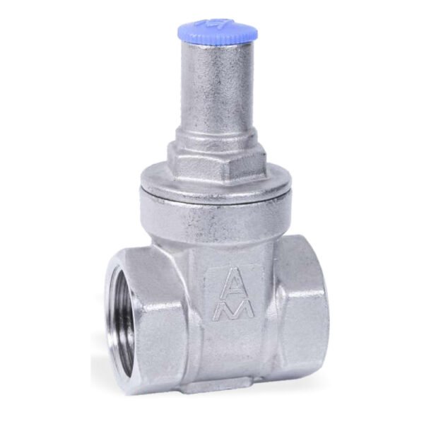 Stainless Steel Threaded Gate Valves 4