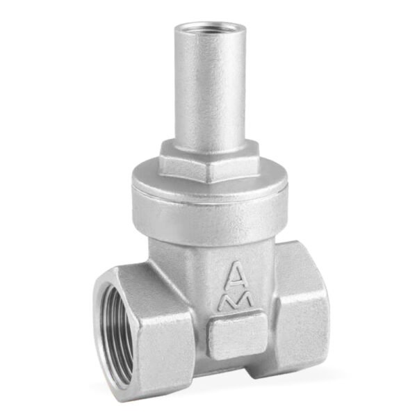 Stainless Steel Threaded Gate Valves 4