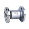 Vertical Check Valve