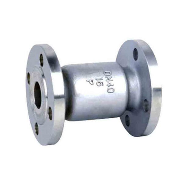 Vertical Check Valve