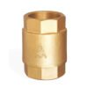 Vertical Check Valve