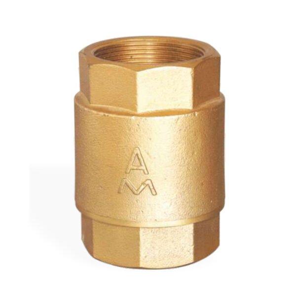 Vertical Check Valve