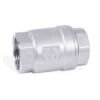 Vertical Check Valve